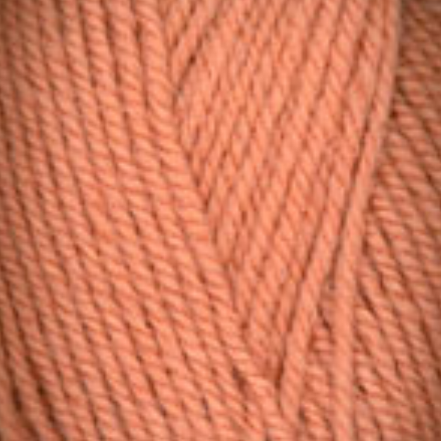 Encore Worsted