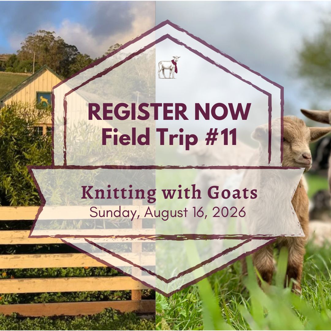 Field Trip 11 - Knitting with Goats
