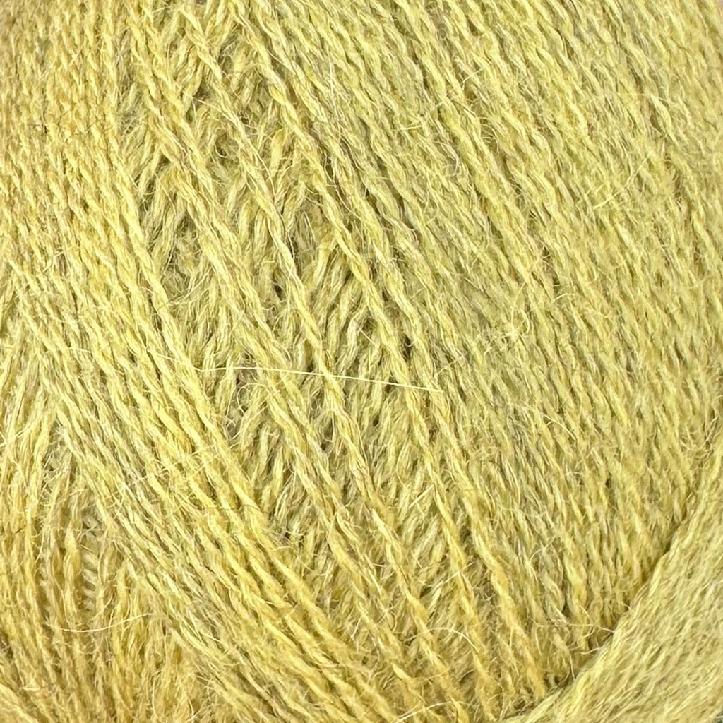 Alpaca 1