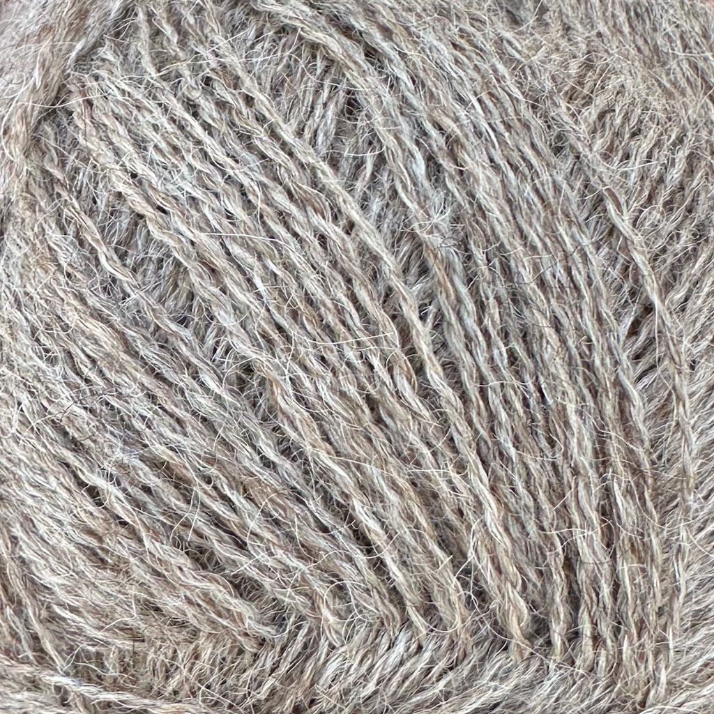 Alpaca 1