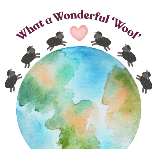 Wonderful Wool Gift Box